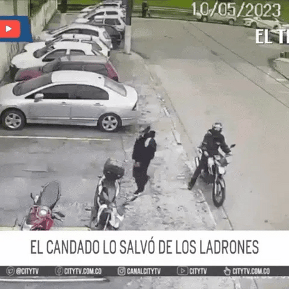 Candado Alarma Seguro